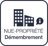 Investissement dans la Nue-Propriété Temporaire